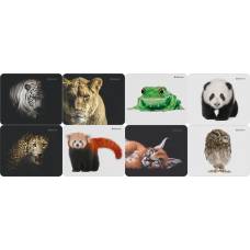 Килимок для миші Defender WILD ANIMALS,  гума+тканина 220*180*2мм