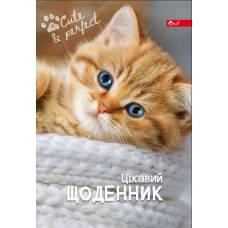 Щоденник шкільний Скат СЕНДВІЧ ТВЕРДА обкладинка КОШЕНЯТА