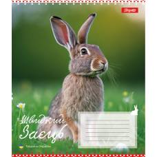 Зошит .1Вересня-Yes 24л. лін ANIMALS OF UKRAINE