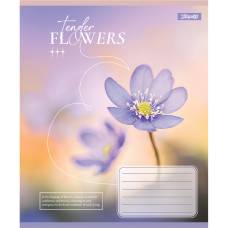 Зошит .1Вересня-Yes 48л. лін TENDER FLOWERS
