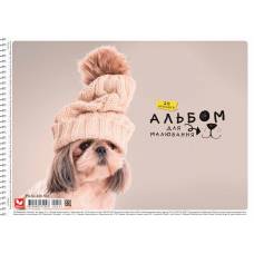 Альбом для малювання Школярик спіраль 20л 120г/м (553)