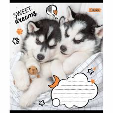 Зошит .1Вересня-Yes 12л. лін SWEET DREAMS