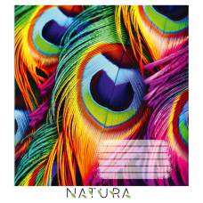 Зошит .Поліграфіст 96л. кл NATURA