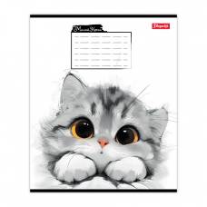 Зошит .1Вересня-Yes 12л. кл YOU LITTLE CAT