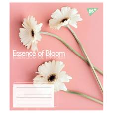 Зошит .1Вересня-Yes 24л. лін ESSENCE OF BLOOM