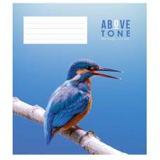 Зошит .Школярик 36л. кл вд-лак ABOVE TONE