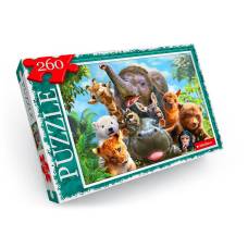 Пазл Danko Toys 260 ел. 330*230мм асорті
