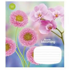 Зошит .Школярик 24л. кл вд-лак FLOWER BLOOMING