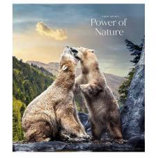 Зошит .Школярик 48л. лін уф-лак POWER OF NATURE
