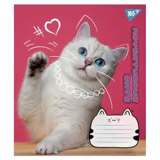 Зошит .1Вересня-Yes 12л. лін ADVENTUROUS CATS