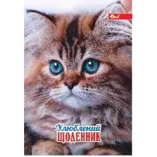 Щоденник шкільний Скат ТВЕРДА обкладинка КОШЕНЯ