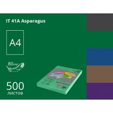 Папір КМА кольоровий А4 Sinar 80г/м 500л темний Asparagus (темно-зелений)