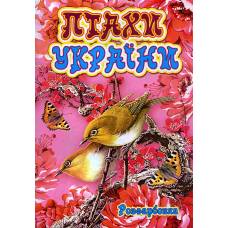 Розмальовка Х-М А4 ПТАХИ УКРАЇНИ