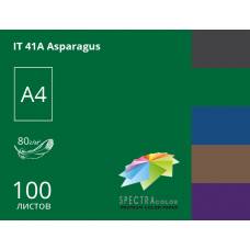 Папір КМА кольоровий А4 Spectra Color/Crystal 80г/м 100л темний Asparagus (темно-зелений)