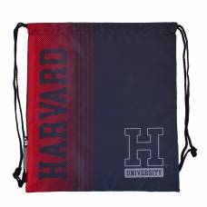 Сумка для взуття .YES HARVARD 40*35см