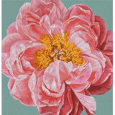 картина за номерами Ідейка 40*40см PINK KISS
