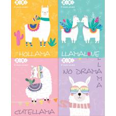 Zibi А7 40 арк. CUTE LLAMA на пружині зверху, карт.обкл. Zibi А7 40 арк. CUTE LLAMA на пружині зверху, карт.обкл.