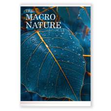 Книга канцелярська Поліграфіст 96л ЛИСТОК картонна обкладинка, кл.