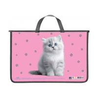 Папка шкільна Maxi A4+ з ручками (для альбому,зошитів, щоденника) CAT