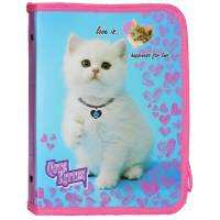 Папка пластикова на блискавці Class B5, CUTE KITTEN